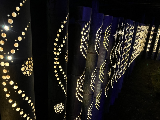 竹灯籠の光が夜の中で幻想的に光る