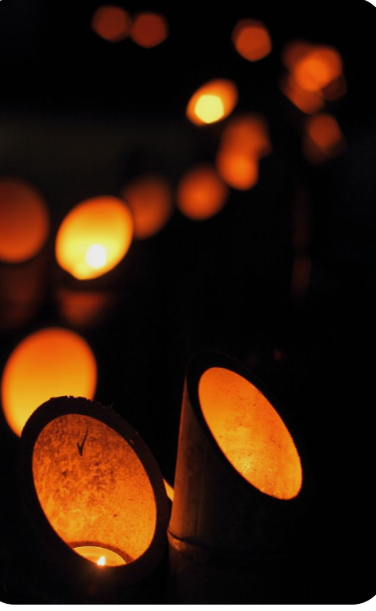 竹あかりが並んで列になっている