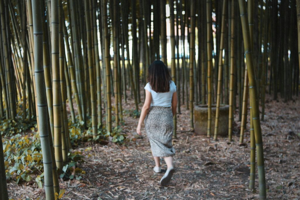 竹林の中を歩く女性の後ろ姿