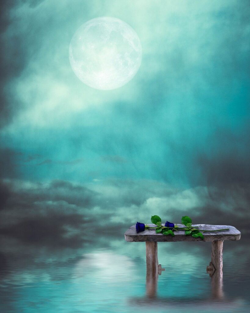 満月に雲がかかり、置かれた花がどこかさみし気に映る