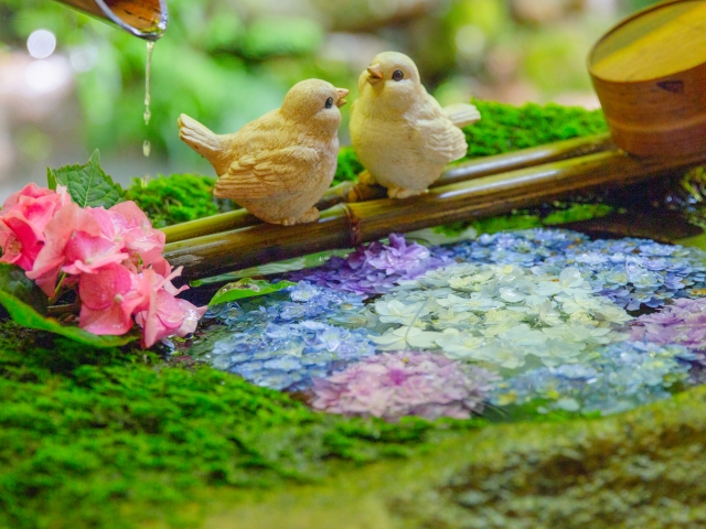 柳谷観音の花手水