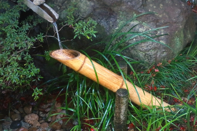 ししおどしがきれいな水を草木の中で奏でている
