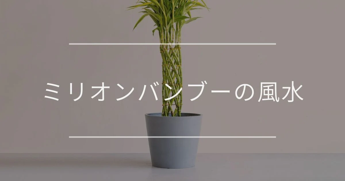 ミリオンバンブーの風水のタイトルが入ったシンプルでおしゃれな画像