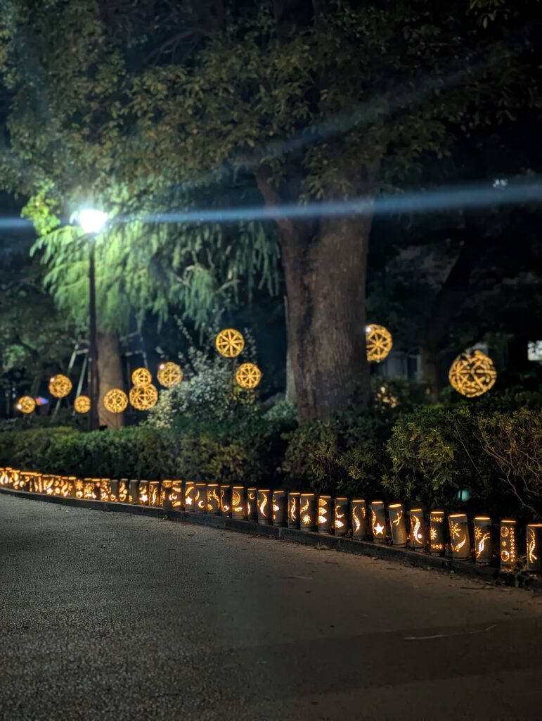 様々な模様の竹あかりが規則正しく並んでいる